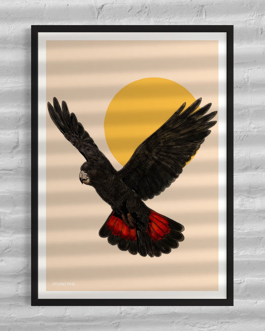 Red Tail Black Cockatoo Print