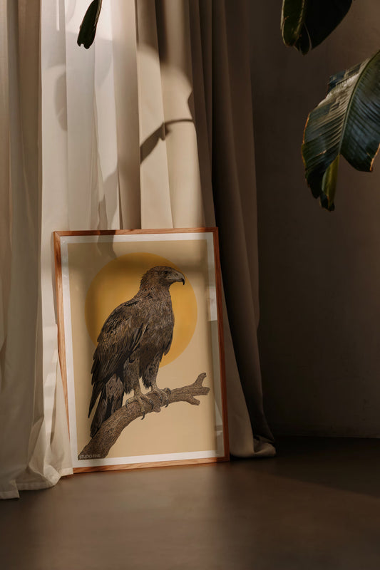 Wedge-tailed Eagle Print