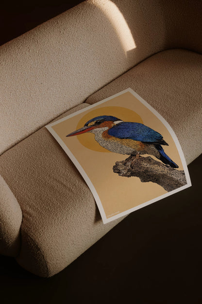 Kingfisher Print