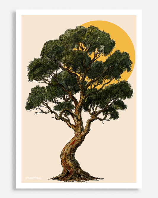 Snow Gum Print