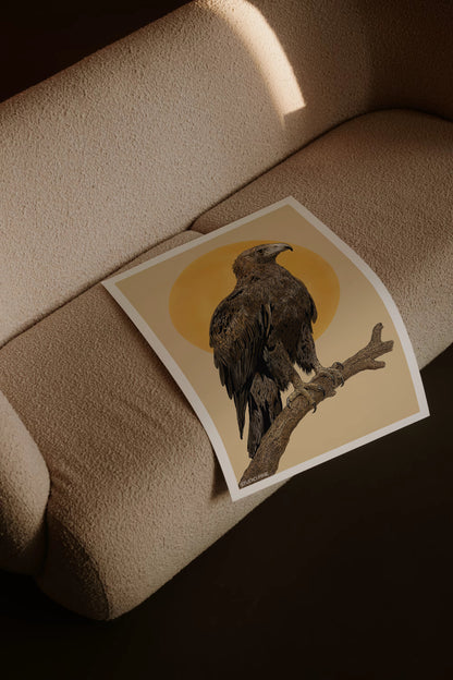 Wedge-tailed Eagle Print