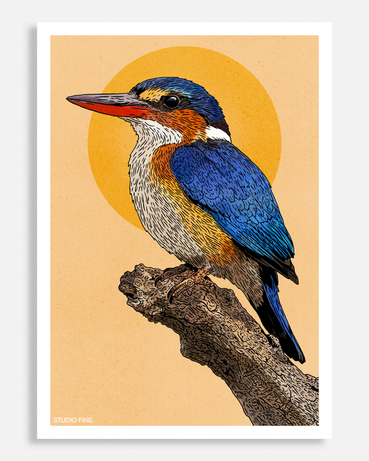 Kingfisher Print