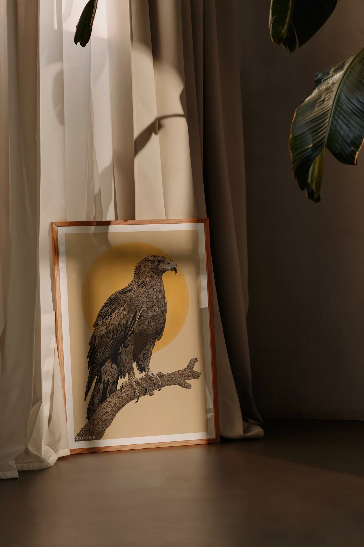 Wedge-tailed Eagle Print