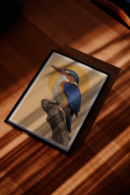 Kingfisher Print