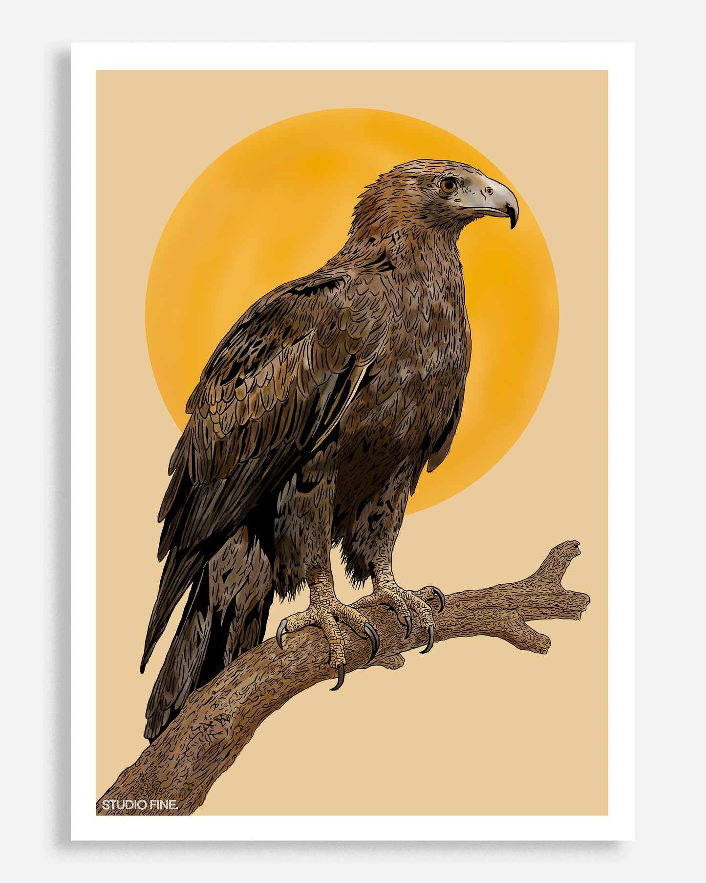 Wedge-tailed Eagle Print