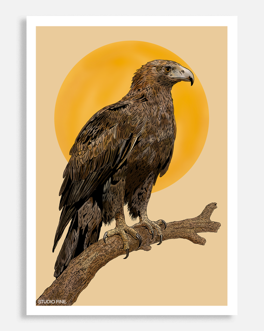 Wedge-tailed Eagle Print