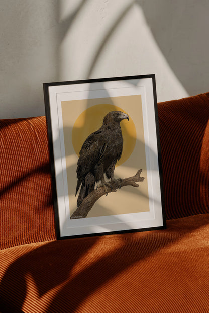 Wedge-tailed Eagle Print