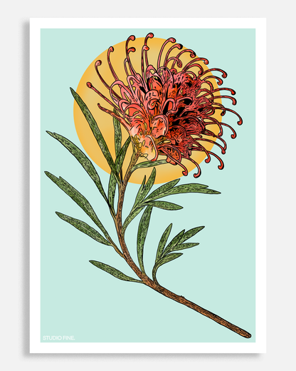 Grevillea Print