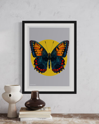 Butterfly Print