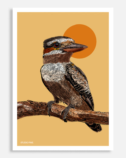Kookaburra Print