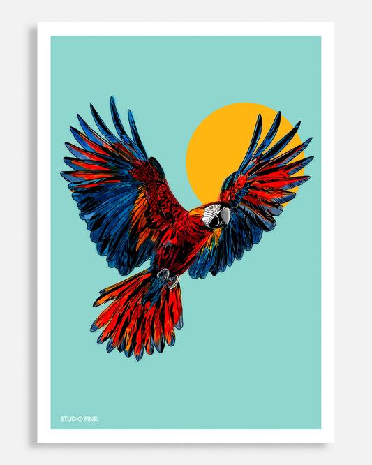 Macaw Print