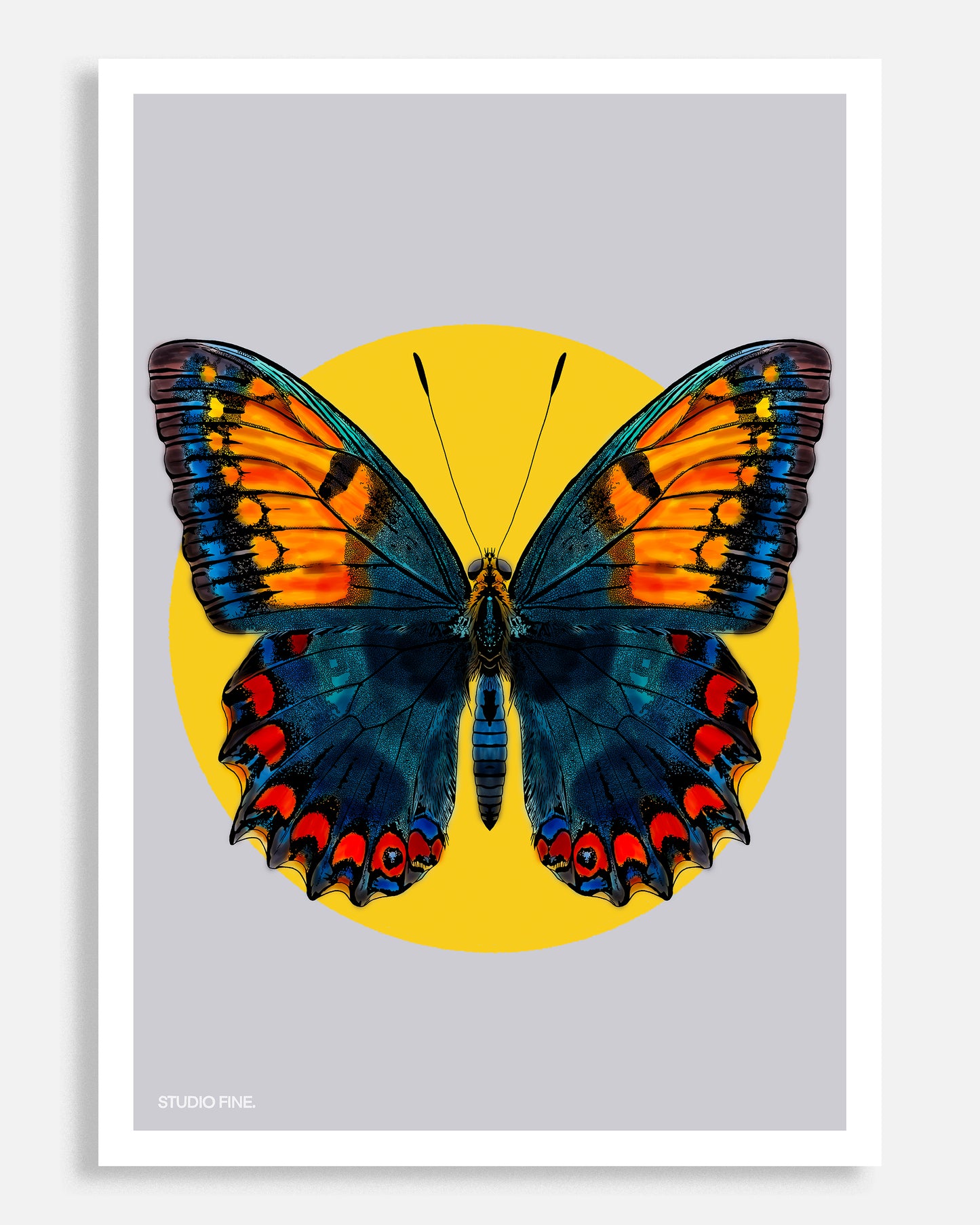 Butterfly Print