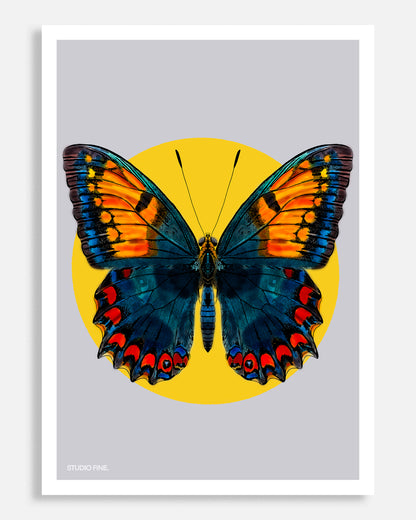 Butterfly Print