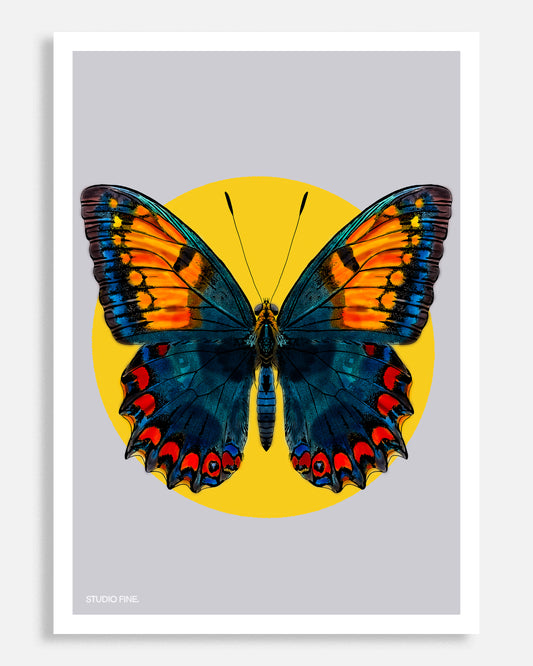 Butterfly Print